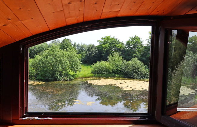 Buschenhagen Rustic Getaway - Photo 40