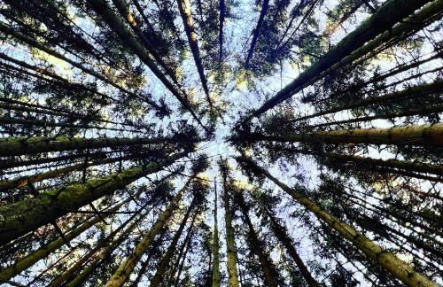 Chalet Charmant rénové au bord du Lac St Point - Foto 28