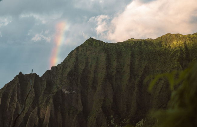 Banyan Harbor Resort - Foto 133