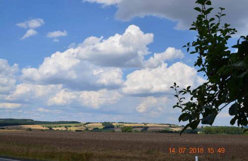 Villa Merzbach - Wohnen wie im Museum mit Komfort - Foto 4