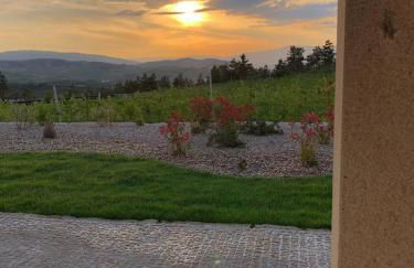 Quinta BEMBOA Turismo Espaço Rural - Foto 50