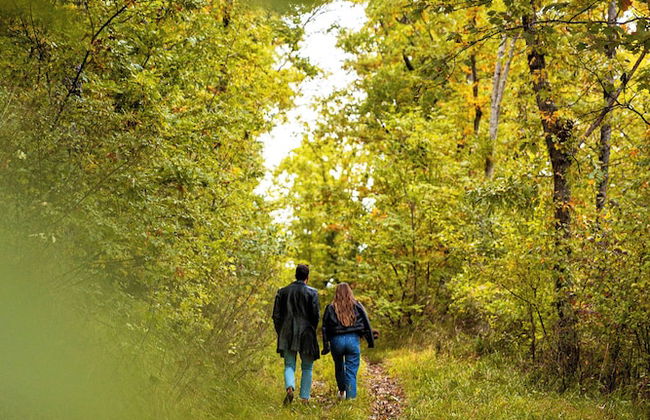 Tenuta Borgo Santa Cecilia - Photo 76