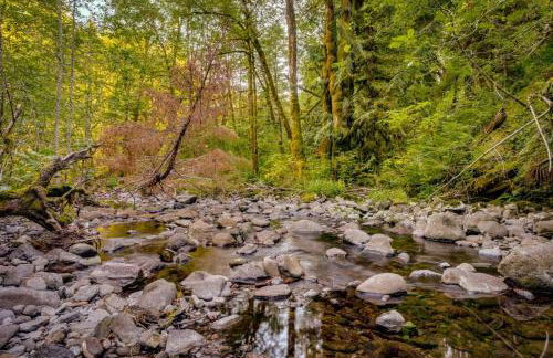 Tamanawas Cabin - Foto 19