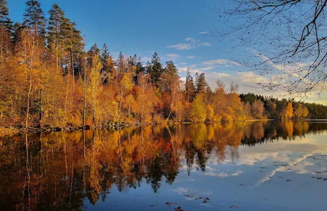 4 Person Holiday Home in Boras - Photo 31