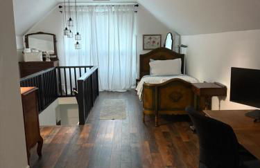 Historic 1914 Cottage, Near Downtown, UNR & Hospitals, Early Check In - Foto 23