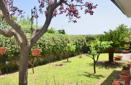 Ameno house - Foto 19