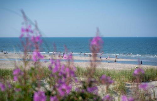 Arche Svea Kiebitz - Foto 16