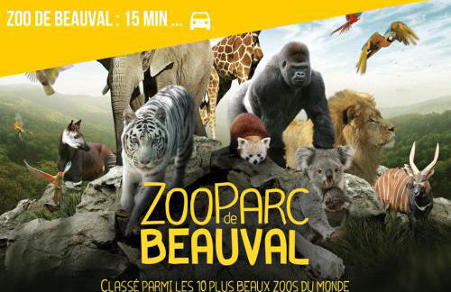 Duplex/Beauval & Châteaux - Foto 14