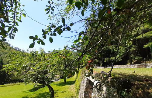 Il Bosco di Campo Marzano studios - Foto 32