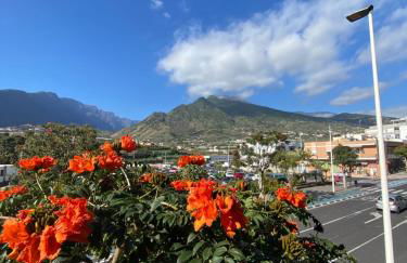 CasaTranquila - Foto 22