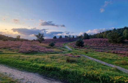 Ferienhaus Corinna Bisping - Foto 13