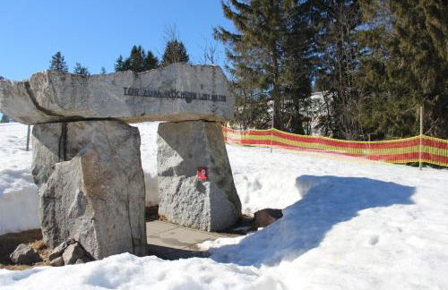 Ferienwohnung Schwarzwaldnest Feldberg - Foto 43