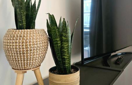 SmartApart - Design Apartment - Favorite Place - Full Equipment - Public Transport - Foto 19