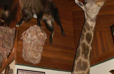 Whitebird Summit Lodge - Foto 8