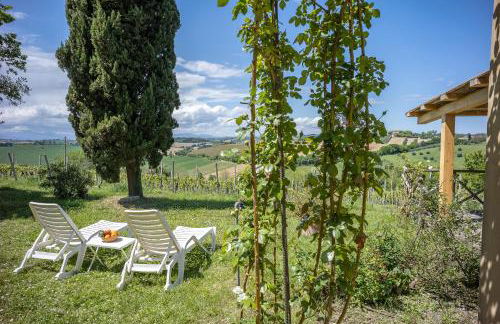 Delightful Cottage facing the vineyard - Foto 40