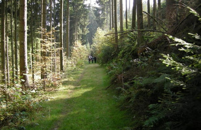 Bungalow in Waxweiler Near Nature Trails - Photo 24