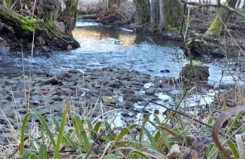 Erkensruhr EIFEL Glück - walking & relaxing TOP view - Foto 22