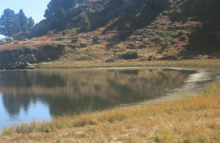 Le Seuil De Mes Reves - Foto 26