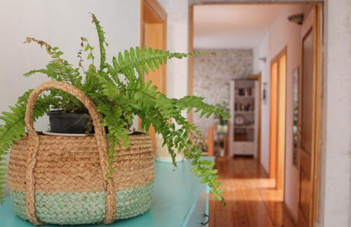 Il Melograno Vrbanj Hvar - Foto 18