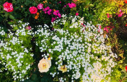 Apartments Smirnov - Foto 41