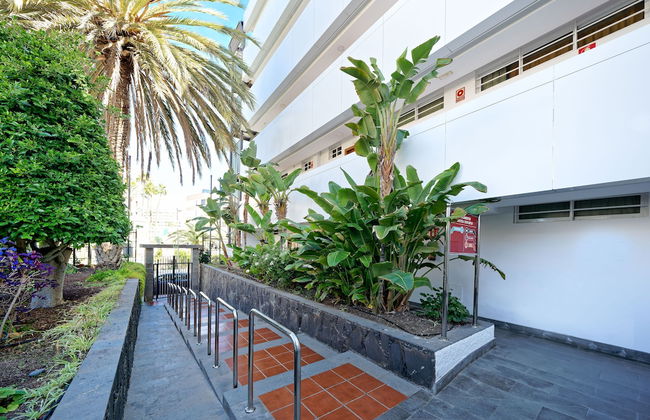 Apartamentos Dorotea - Foto 53