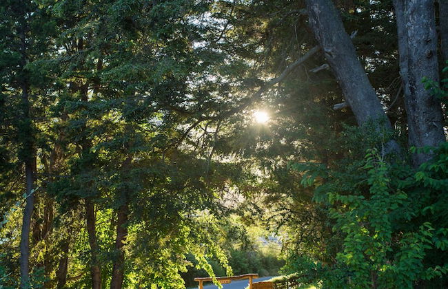 Cocos Cura Casas de Montaña - Photo 61