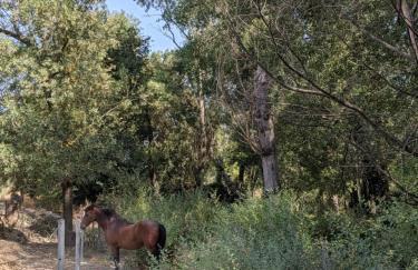 La Noguera de Baena - Foto 21