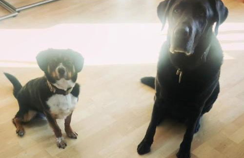 Ferienwohnung, Apartment, Pension - Berlin Neuenhagen - Photo 4