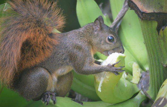 Casa Vida Verde - Foto 28