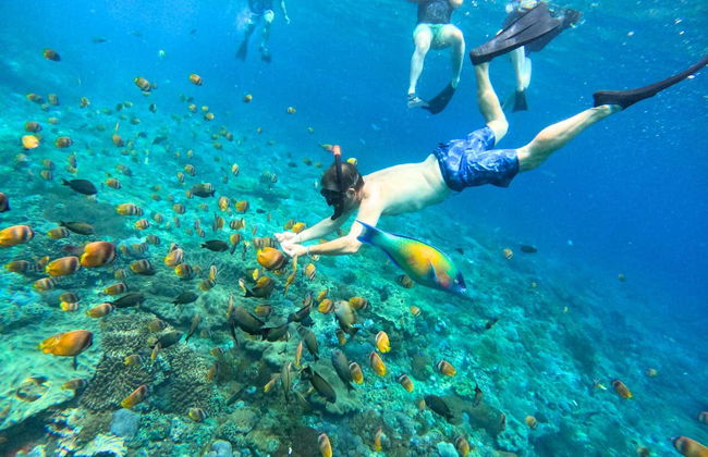 Nusa Lembongan Snorkeling - Photo 5