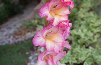 Argo Studios - Foto 53