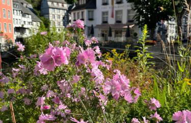 Fewo in Monschau - Foto 20