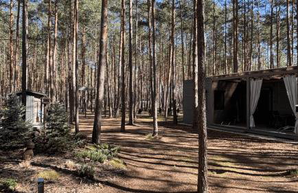 Las Biala's - Domki z sauną i jacuzzi w Puszczy Noteckiej - Tylko dla dorosłych - Foto 33