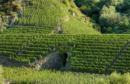 Ferienhaus Zenz - Ferienwohungen - Foto 21