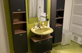 Apartman Staro Petrovo Selo - Foto 13
