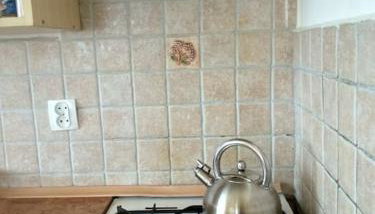 Dom z ogrodem w malowniczej okolicy Bieszczady - Foto 3