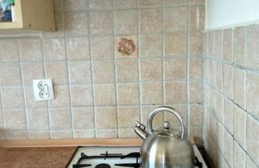 Dom z ogrodem w malowniczej okolicy Bieszczady - Foto 3