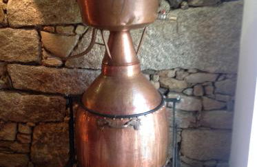 Curral de l Tiu Pino - Foto 65