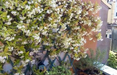 Ca' San Silvestro 2 terrazze nel cuore di Venezia - Foto 7