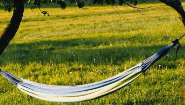 Siedlisko Słoneczny Jar - Foto 3, Garden