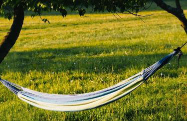 Siedlisko Słoneczny Jar - Foto 3