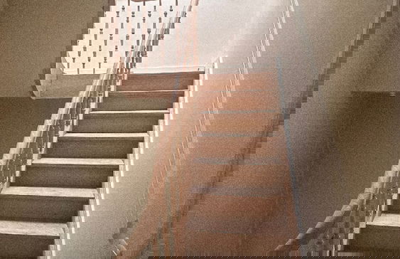 BE ANT Coqu 3 in Antwerpen - Foto 8