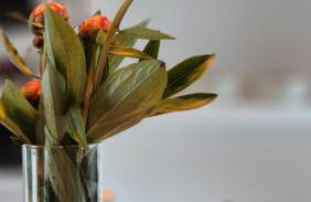 L'Arbre Voyageur - Suite de Luxe au cœur d'Autun - Foto 19