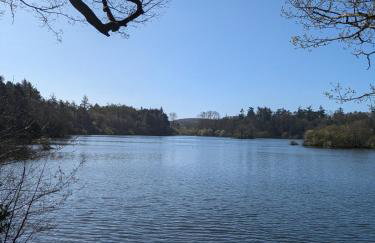 Lady Hill, Royal Hillsborough - Foto 13