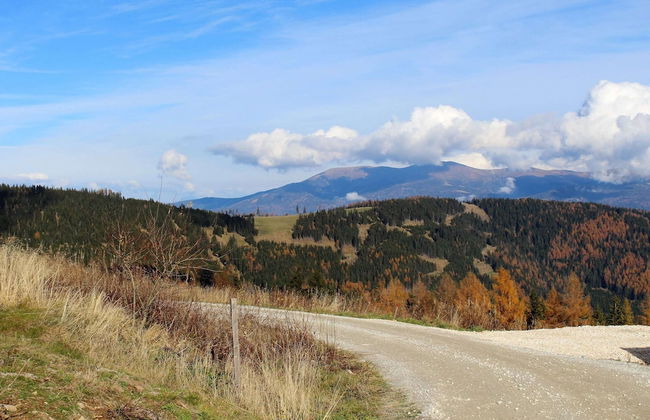 Chalet in Klippitztorl ski Area With Sauna - Foto 32