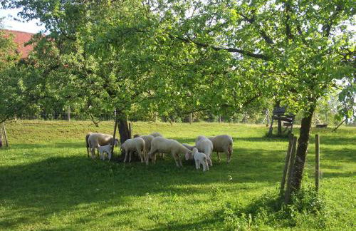 Gut Grasleiten - Foto 89