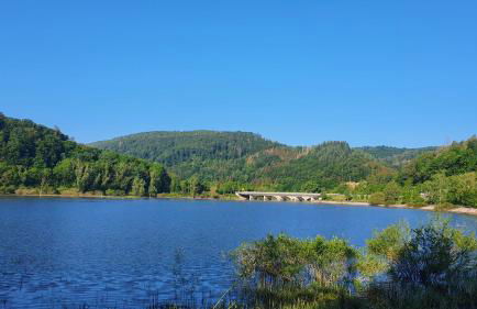 Grüne Haus - Foto 19