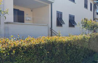 Balo’s home - Foto 32