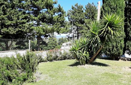 Cara Pace in collina per gruppi - Foto 17