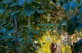 The Artist's Farm - Foto 8